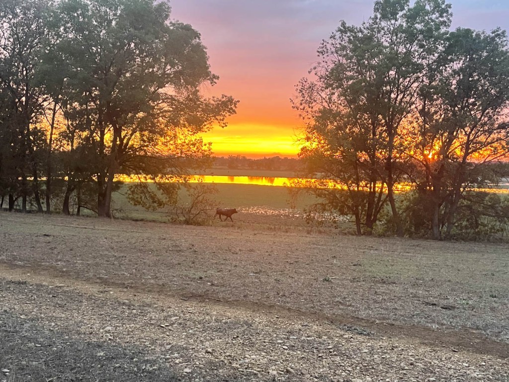 Saison 2 Ep 24 : Deux semaines de pause à terre